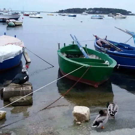Casa Del Pescatore *